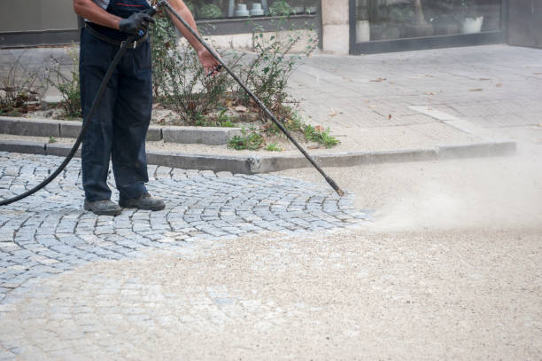 Best Driveway Pressure Washing  in Seguin, TX
